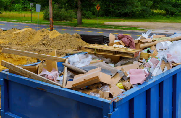 Best Recycling Services for Junk  in Novi, MI